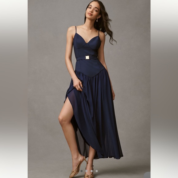 Hutch Dresses & Skirts - Hutch Ruby Bustier Drop Waist Belted Dress